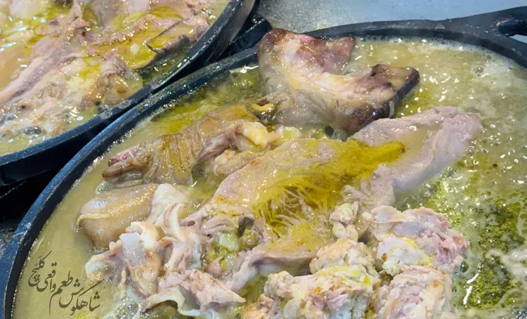 زبان گوسفند طباخی شاهگوش