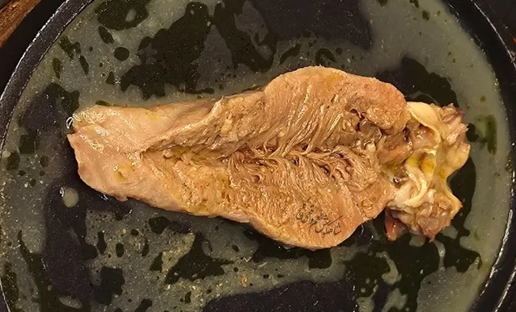 زبان گوسفند طباخی شاهگوش