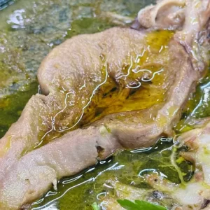 زبان گوسفند طباخی شاهگوش